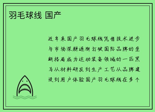羽毛球线 国产
